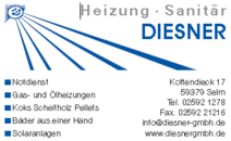 Logo Diesner GmbH