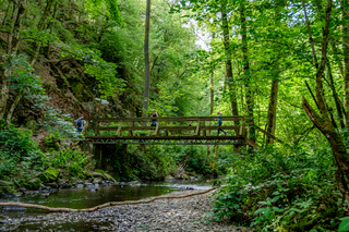 Holzbrücke im Nationalpark Eifel