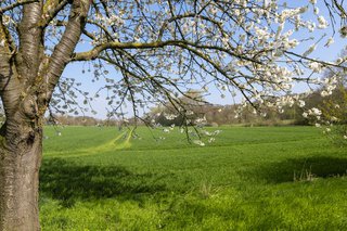 Baumberger Ludgerusweg