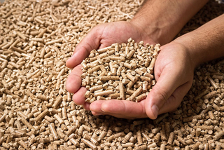 Holzpellets in Hand