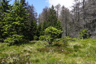 Unterwegs in der Natur mit offenen Ohren