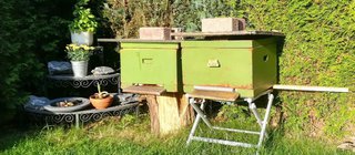 Bienenstock im Garten Bienenstock im Garten
