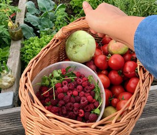 Fette Ernte im Schrebergarten Fette Ernte im Schrebergarten