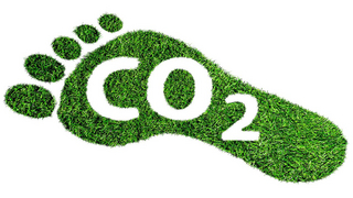 Fußabdruck aus Gras mit Inschrift CO2
