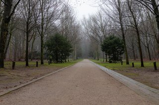 Allee der Bäume des Jahres