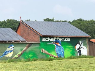 Vögel verzieren eine Fassade in Lüdinghausen
