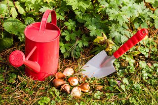 Der Garten im Herbst 