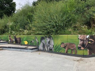 Esel, Pferde und Rinder im Skaterpark in Olfen