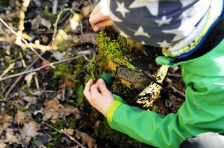 Geocaching im Wald