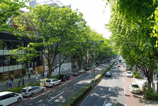 Stadtbild mit Straße, Bäumen, PKWs und Gebäuden