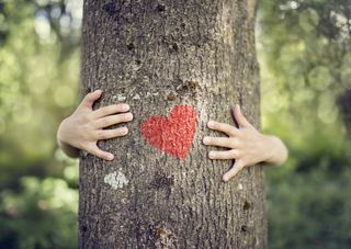 Baum mit Herz von hinten umarmt