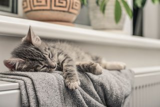 Schon ab 19 Grad Celsius kann es angenehm war sein.