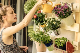 Frau gießt Blumen auf dem Balkon