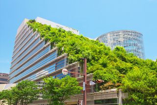 Grüne Terrassen auf einem Gebäudekomplex