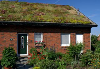 Einfamilienhaus mit gegrüntem Dach