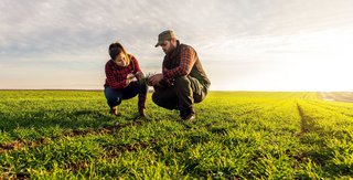 Einsatz auf dem Feld - wo kommt mein Gemüse her?