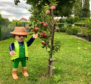 besonderer Gartenzwerg in der Kleingartenanlage