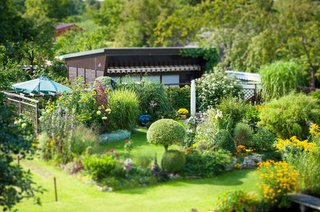 Schrebergarten - Kleingarten mit Laube