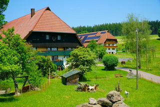 Ein Bauernhof bietet viel Raum für naturverbundene Erholung